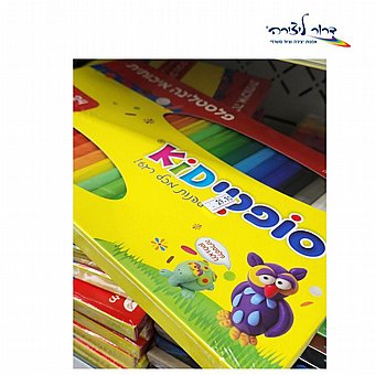 ���� �������� 24 ������ 300 ���/1 ����