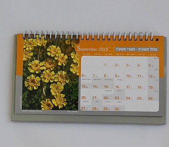 ��� ���� ����� 2015-2016