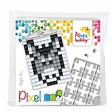 ����� ���� - �� ����� ������ -����