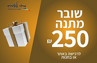 ���� ���� 250 �� 