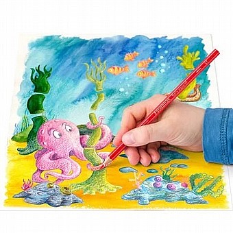 �� 24 ������� �������� ������+ �����  ����� STAEDTLER