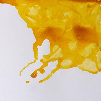 ��� ����� ���� WINSOR & NEWTON 