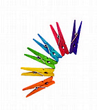 ���� �� �������� ����� ������-  48 ������