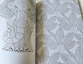 ����� ����� ������ ���� -200 ������