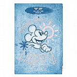 ���� ����� ���� ���� 