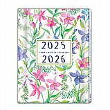 ���� ����� ����� ���������