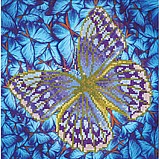 ����� ���� ����� �������  �� �� ����-���� ���� 30.5X30.5 �"�