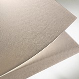 ���� ����� �������� ����� ������� ����� ����� - 50X65 �� 220 ���- MAGNANI1404