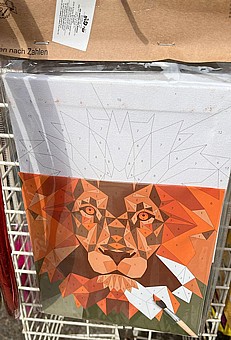 ����� ��� ������ �� ���� - ���� 