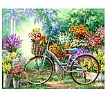 ����� ��� ������ -������� �����