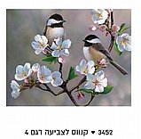 ����� ��� ������  - ��� ������� �� ����� ����