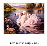 ����� ��� ������  - ��� ������� ����