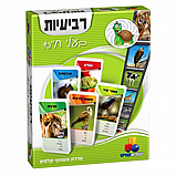 ���� ����� �������- ���� ���� 