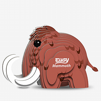 ���� ����� ���� EUGY-  ���� �����
