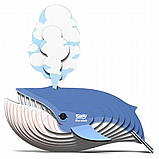 ���� ����� ���� EUGY- ���� ������ ����