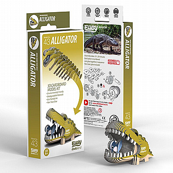 ���� ����� ���� EUGY- ���� �������