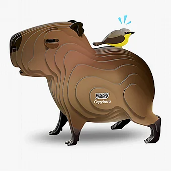 ���� ����� ���� EUGY- ������