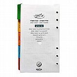 ��� ���� ����� �������� ���� 7 ����� ������ - 2026 TOUCH