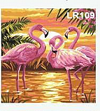 ����� ���� ����� ������� �� �� 30/30 �"� - ������