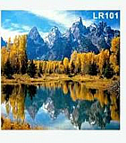 ����� ���� ����� ������� �� �� 30/30 �"� - ��� ����� �������