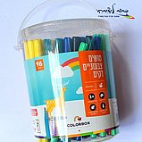 48 ����� �������� ���� ����