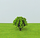 �� �������� ������ ���� ���� 4.5 ��- ���� ����