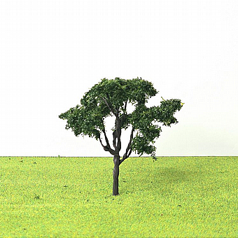 �� �������� ������ ���� ���� 8 ��