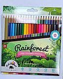 �� 24 ������� �������� ������- ���� �����