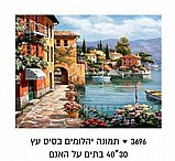 הדבקת אבני שיבוץ יהלומים על בסיס עץ 30/40 ס"מ - בית עם איילים הדבקת אבני שיבוץ יהלומים על בסיס עץ 30/40 ס"מ - בית עם איילים