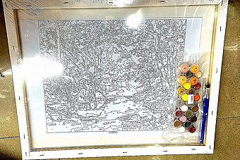 ����� ��� ������  - ��� ���� �� ����� ������