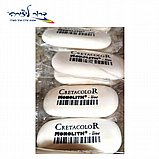 ��� ������ ����- ����� 