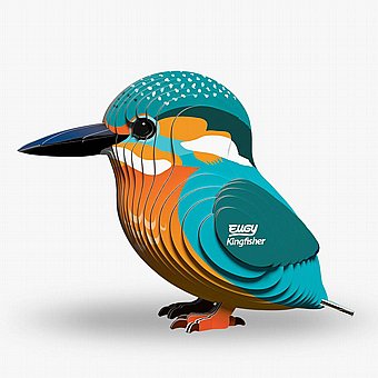 ���� ����� ���� EUGY- ����