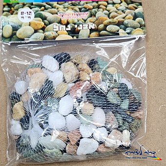 ���� ��� 8-12 ��