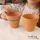 ���� ���� ���� ��� 6/ 6.5 ��